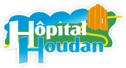 Houdan
